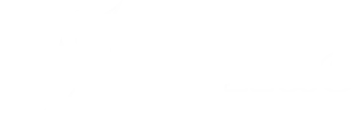 Teriluc Personalizados